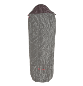 BIG AGNES Farrington