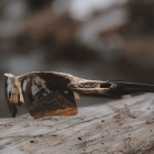 KRYPTEK Oakley SI Flak 2.0 XL