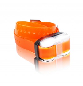 DOGTRA EDGE Additional Receiver