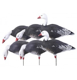 GHG DECOY SYSTEMS Pro-Grade Full Body Blue Goose Harvester 6-Pack