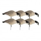 GHG DECOY SYSTEMS Hunter Series Canada Feeder Pack