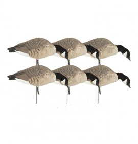 GHG DECOY SYSTEMS Hunter Series Canada Feeder Pack