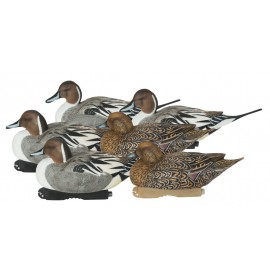 GHG DECOY SYSTEMS Pro-Grade XD Series Pintail Decoys - Harvester Pack