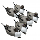 TANGLEFREE Magnum Pintail Decoys 6 Pack