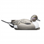 TANGLEFREE Magnum Pintail Decoys 6 Pack