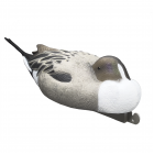 TANGLEFREE Magnum Pintail Decoys 6 Pack