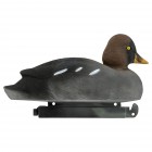 TANGLEFREE Migration Edition Golden Eye 6 Pack