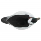 TANGLEFREE Migration Edition Bufflehead 12 Pack