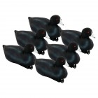 TANGLEFREE Pro Series Coot 6 Pack