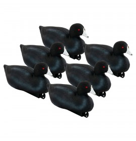 TANGLEFREE Pro Series Coot 6 Pack