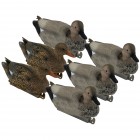 TANGLEFREE Pro Series Gadwall 6 Pack