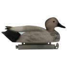 TANGLEFREE Pro Series Gadwall 6 Pack