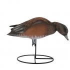 TANGLEFREE Pro Series Full Body American Wigeon 6 Pack