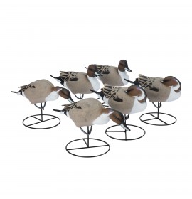 TANGLEFREE Pro Series Full Body Pintail 6 Pack