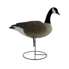 TANGLEFREE Pro Series Canada Goose Full Body Uprights 6 Pack