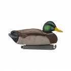 TANGLEFREE Flight Mallard Combo 12 Pack