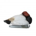 TANGLEFREE Flight Canvasback 6 Pack