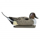 TANGLEFREE Flight Pintail 6 Pack