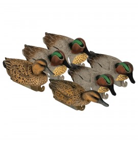 TANGLEFREE Flight Green Wing Teal 6 Pack