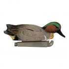 TANGLEFREE Flight Green Wing Teal 6 Pack