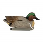 TANGLEFREE Flight Green Wing Teal 6 Pack
