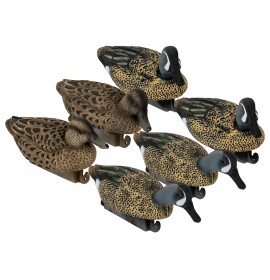 TANGLEFREE Flight Blue Wing Teal 6 Pack