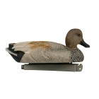 TANGLEFREE Flight Gadwall 6 Pack
