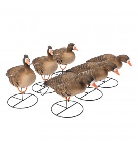 TANGLEFREE Flight Series Full Body Specklebelly Goose Decoys 6 Pack