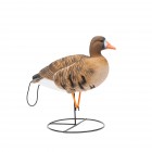 TANGLEFREE Flight Series Full Body Specklebelly Goose Decoys 6 Pack