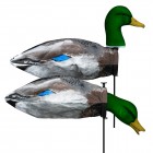 TANGLEFREE Drake Mallard Slammer Sock 12 Pack with Flocked 3d Head / Pre-Assembled