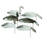 TANGLEFREE Slammer Sock Mixed Goose 50 Pack with 3D Heads / Pre-Assembled