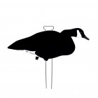 TANGLEFREE Fully Flocked Black and White Canada Skinny Decoys 12 Pack