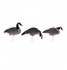 TANGLEFREE Fully Flocked Canada Skinny Decoys 12 Pack