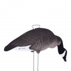 TANGLEFREE Fully Flocked Canada Skinny Decoys 12 Pack