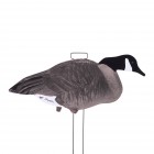 TANGLEFREE Fully Flocked Canada Skinny Decoys 12 Pack