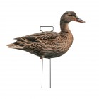 TANGLEFREE Fully Flocked Mallard Skinny Decoys 12 Pack