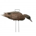 TANGLEFREE Fully Flocked Mallard Skinny Decoys 12 Pack