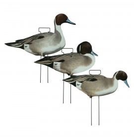 TANGLEFREE Fully Flocked Pintail Skinny Decoys 12 Pack