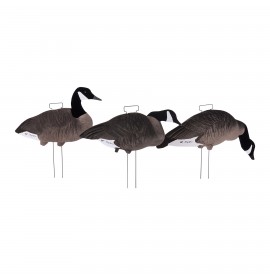 TANGLEFREE Fully Flocked Lesser Canada Skinny Decoys 12 Pack