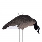 TANGLEFREE Fully Flocked Lesser Canada Skinny Decoys 12 Pack