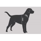 TANGLEFREE Flight Series Dog Vest