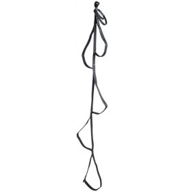 C.A.M.P. Standard Aider