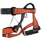 C.A.M.P. Group III Harness 