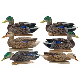 AVIAN-X Topflight early season mallard decoys 