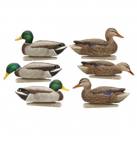 AVIAN-X Topflight mallard fusion decoy pack