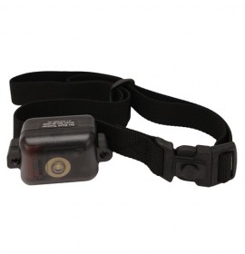 DT SYSTEMS Ultra Min-e No Bark Collar