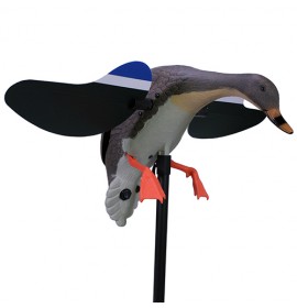 MOJO DECOYS Mallard hen with remote