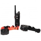 PETPAL TRAINING SYSTEMS RT-500 for Two Dogs