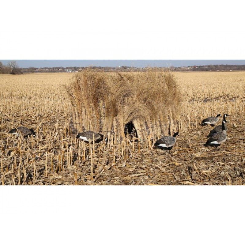 DAKOTA DECOY XSeries Field goose hunting blind