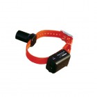 DT SYSTEMS Baritone Beeper Collar